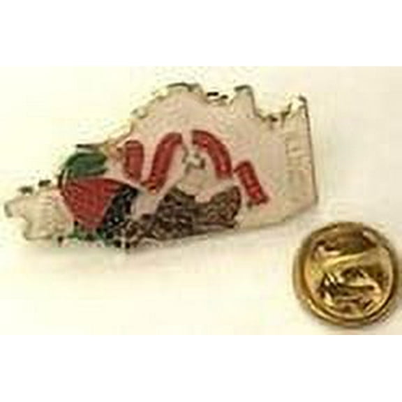 6 Pack of Illinois State Lapel Pins