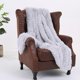 thumbnail image 1 of Manta decorativa suave de terciopelo franela, ligera y acogedora para sofá o cama, ideal para todas las estaciones. Medidas: 130 x 160 cm. 1 unidad. Gris clar Rkxzt, 1 of 9