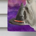 thumbnail image 4 of Carolines Treasures CK3186CHF Ragamuffin Halloween Drapeau Toile Maison Taille, 4 of 4