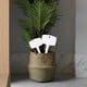thumbnail image 4 of Etiquetas de Plástico para Plantas, Etiquetas Tipo T, Etiquetas para Jardín de Exterior, Etiquetas para Nombres de Plantas, Letreros de Jardinería para Bricolaje, Estacas de Identificación de, 4 of 7