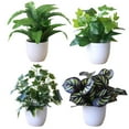 thumbnail image 1 of Artificial Foliage Plant Potted Bonsai Party Mall Market Desktop Office Decor, 1 of 8