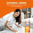 thumbnail image 6 of Lysol® Disinfecting Wipes, Mango & Hibiscus, 35 count, 6 of 12