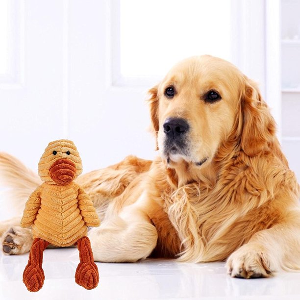 Indestructible dog deals stuffed animal