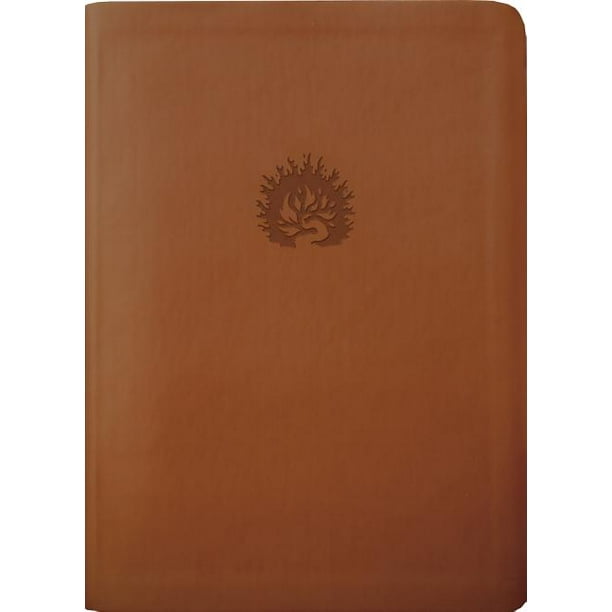 Reformation Study Bible ESV Walmart Walmart