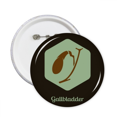 thumbnail image 1 of Body  Gallbladder Round Pins Badge Button Emblem Accessory Decoration 5pcs, 1 of 2