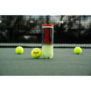 (2 pack) Penn Championship Regular Duty Tennis Balls (1 can, 3 balls)