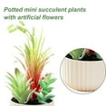 thumbnail image 3 of 3pcs simulation with buds, grass, succulent combination, bonsai simulation flower, artificial plant, creative home decoration, 3 of 5