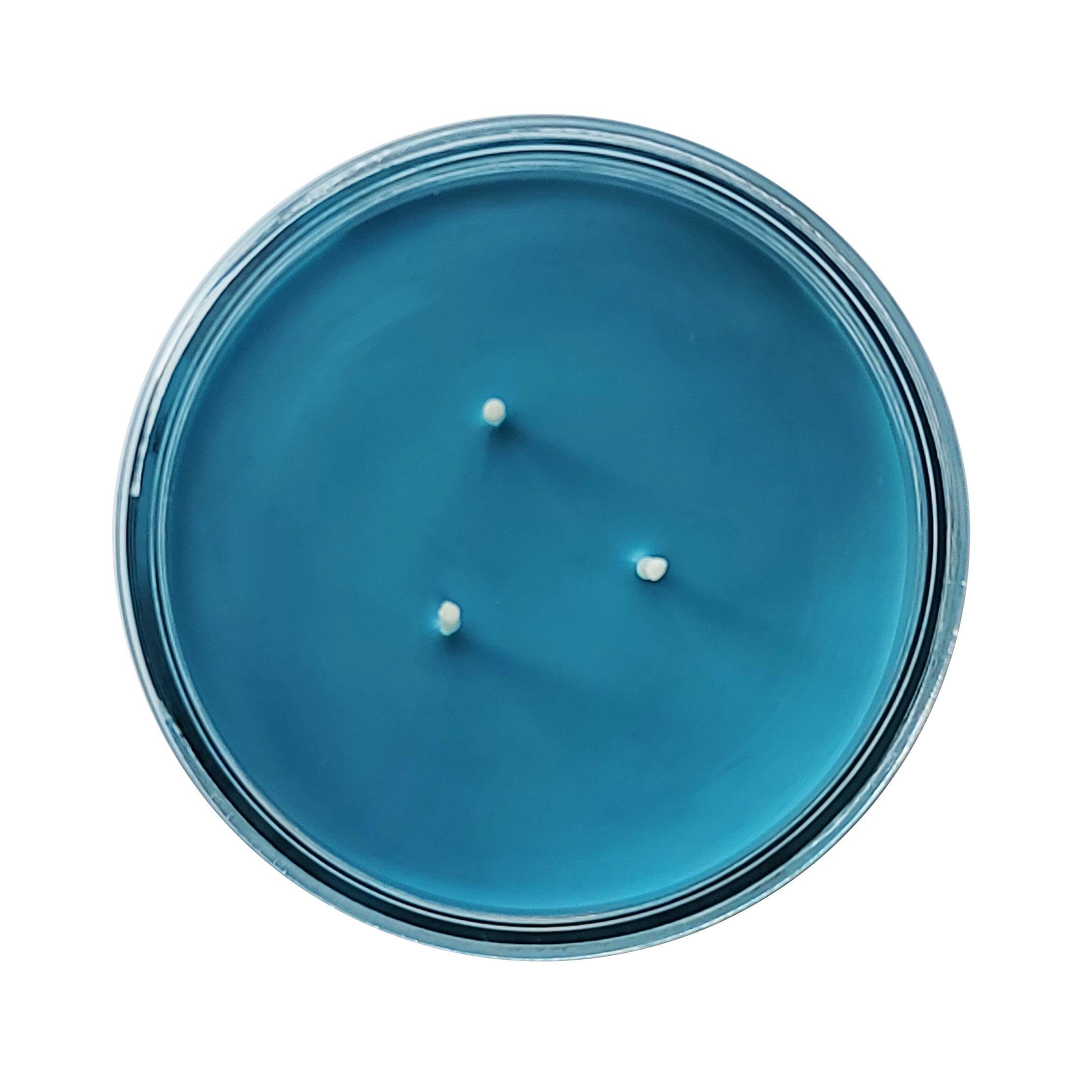 Mainstays 3-Wick Glass Jar Candle, Hidden Springs, Blue, 11.5 oz