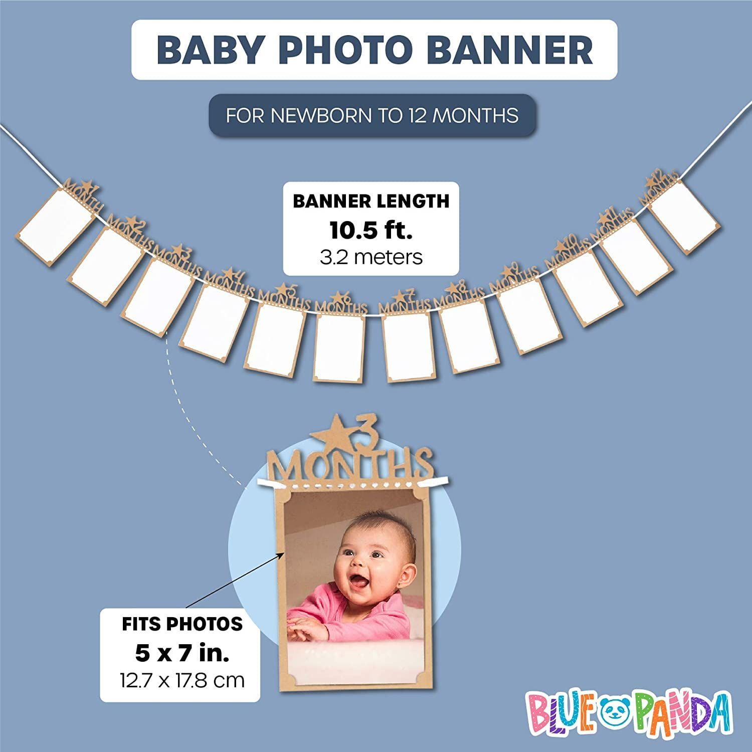 Baby Boy First Birthday Banner Growth Record 1-12 Month Hang Bunting Photo Q