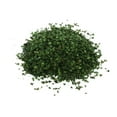 thumbnail image 3 of Wweixi Feuilles Miniatures Réalistes Simulation Feuilles pour Train Mini Modèle Disposition DIY Printemps Vert 35ml, 3 of 6