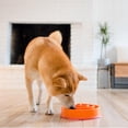 thumbnail image 3 of Comedero para Perro Outward Hound Naranja Mediano, 3 of 7