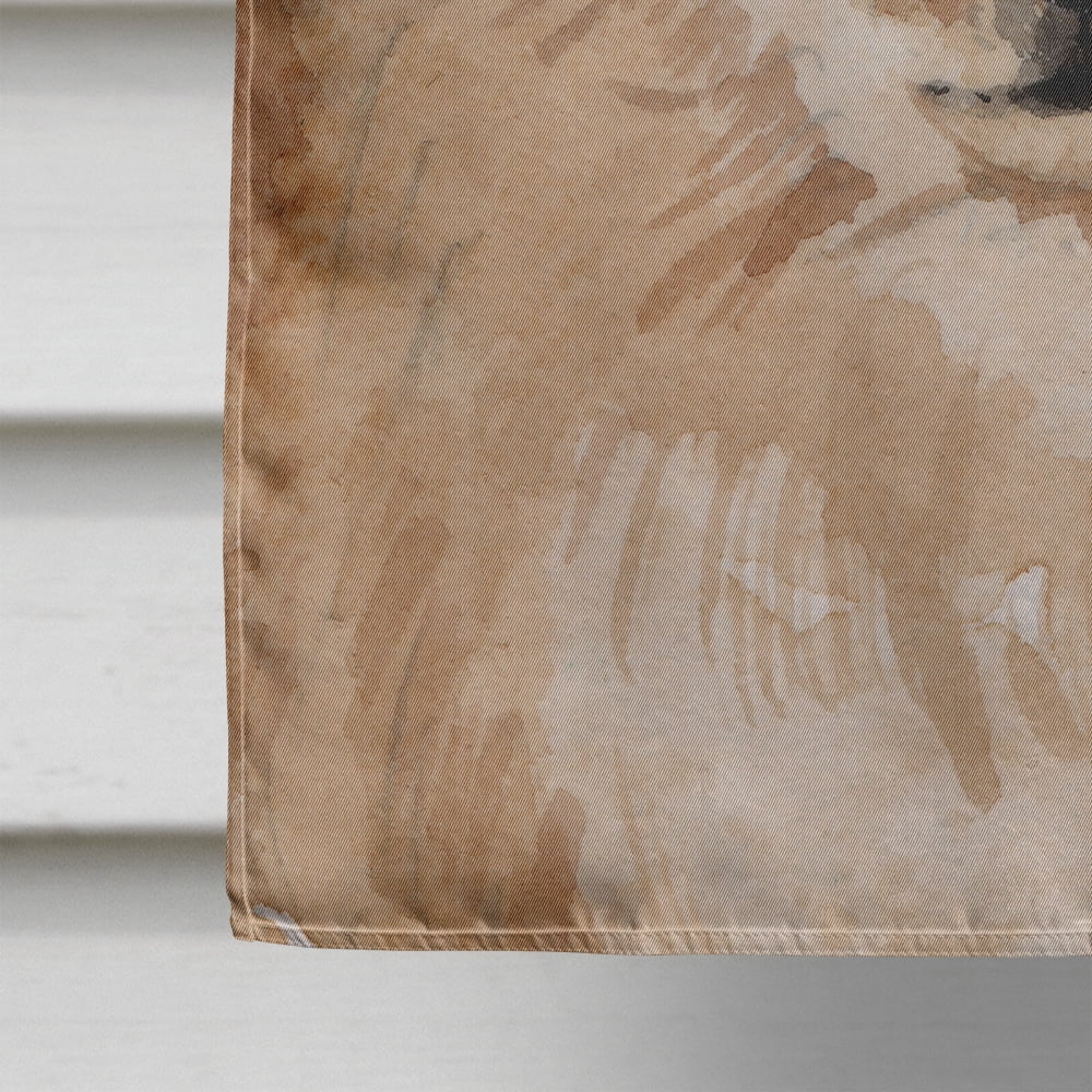 Pomeranian Pine Cones House Flag