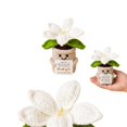 thumbnail image 4 of Crocheted Potted Plant Decor Single Piece Thank You Gift for Teachers and Coworkers, 4 of 5