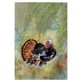thumbnail image 1 of Betsydrake GT1165 Serviette d'Invité Colorée Dinde 20 x 20 Po., 1 of 1