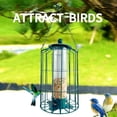 thumbnail image 2 of Bxaolu Squirrel Proof Bird Feeders for Outdoors Hanging (Metal Green) Bird Feeder with 4 Ports, Chew-Proof & Weather Resistant, Backyard Decor Gift (12.6 x 7.1 x 7.1 inches), 2 of 9