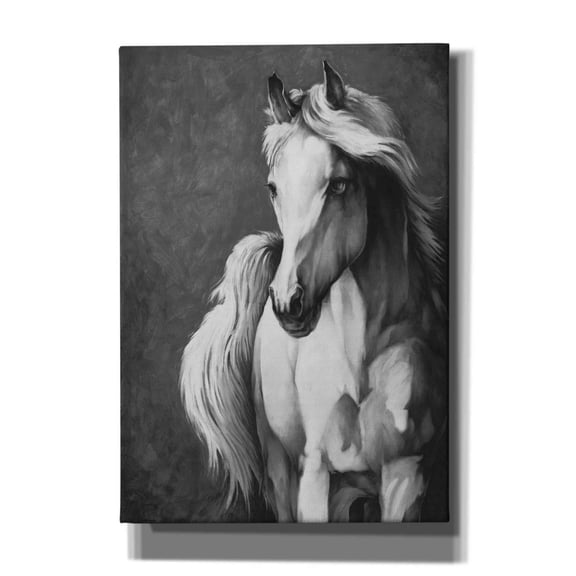 Epic Graffiti'White Horse' by White Ladder, Giclee Canvas Wall Art, 18"x26"