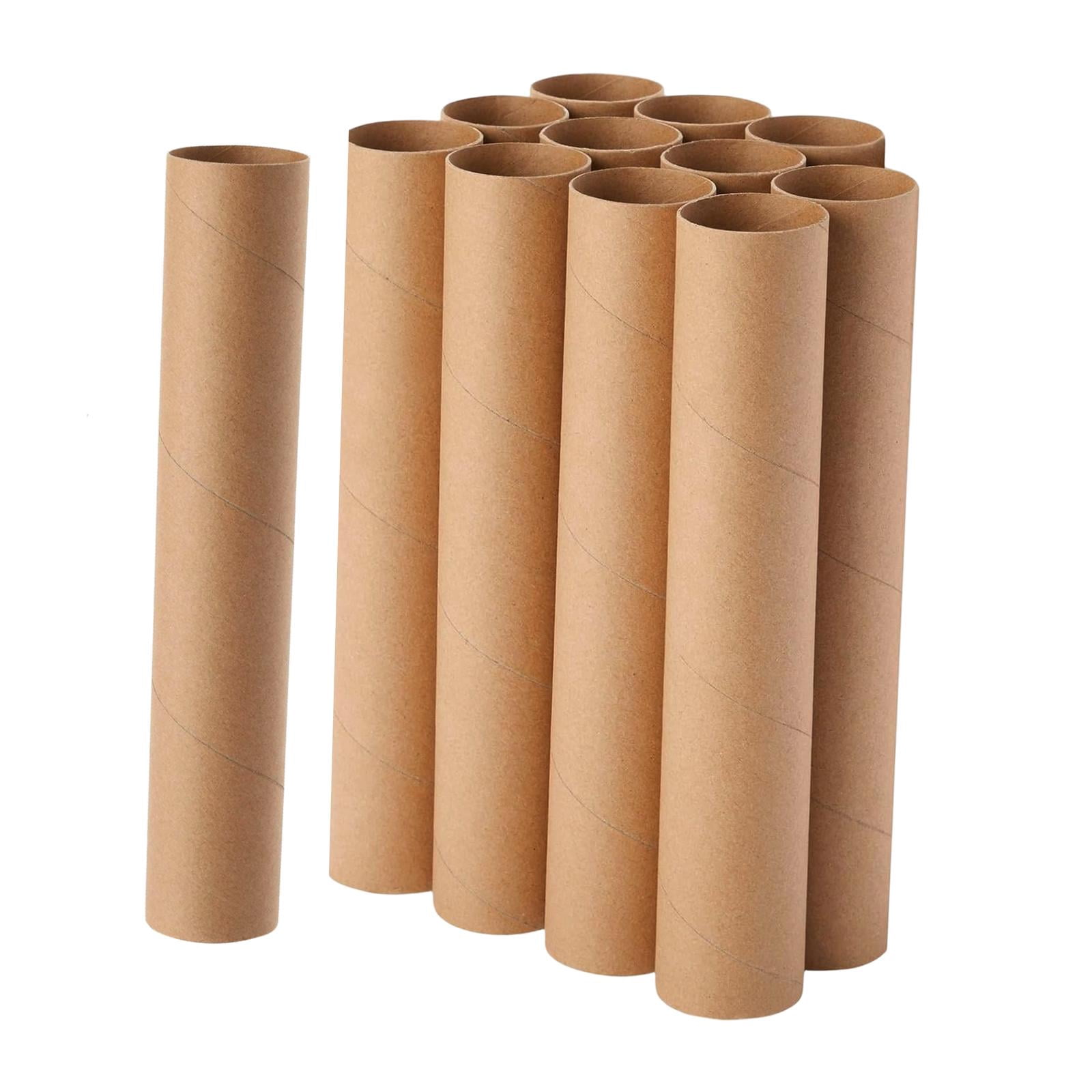 FVDPWYE 12 Pieces Cardboard Tubes Paper Towel Tubes for Family DIY Projects Handmade 30cm