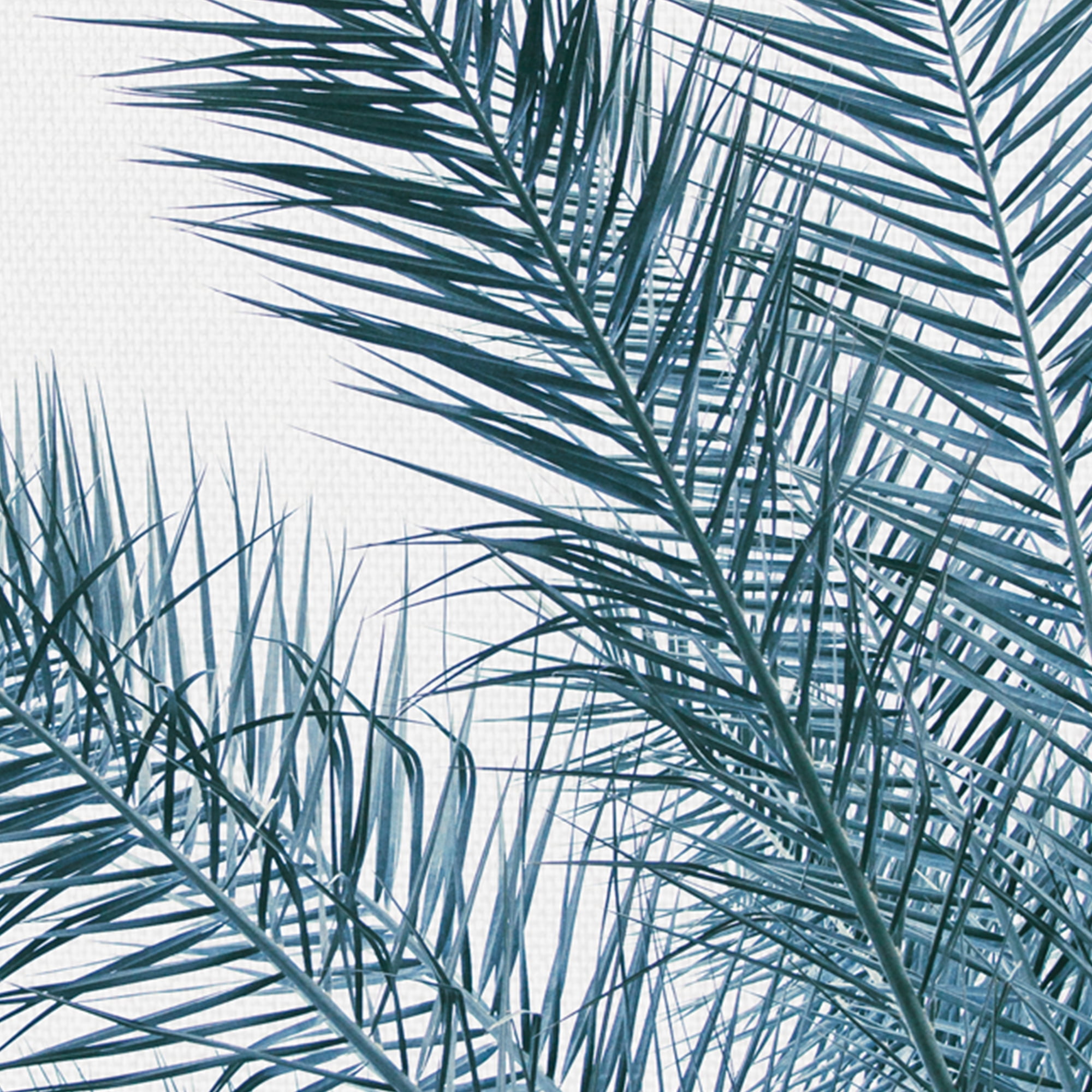Palm Fresh by Irene Suchocki Palm Tree Photo Canvas Art