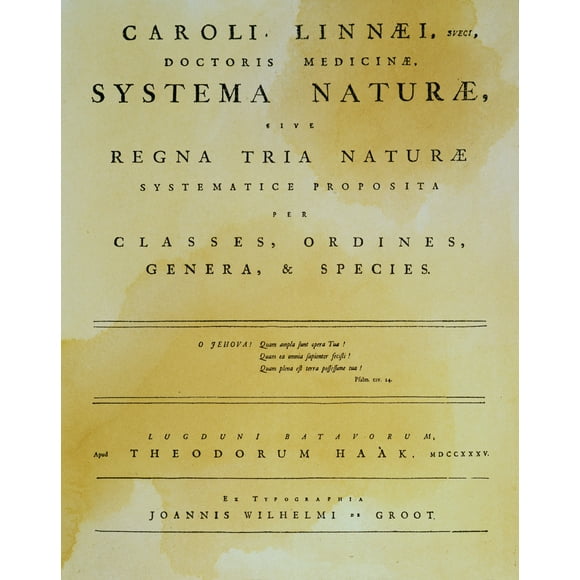 Linnaeus: Title Page. /Nthe Title-Page Of Carolus Linneus''Systema Naturae', Imprimé en Leyden, 1735. Affiche Imprimée par (24 x 36)