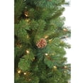 thumbnail image 2 of Kurt Adler 7.5-Foot Slim Pre-Lit Clear Burlington Tree, 2 of 2