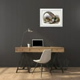 thumbnail image 3 of Elliot, Daniel Giraud 14x12 White Modern Wood Framed Museum Art Print Titled - Family of Pheasants, 3 of 4