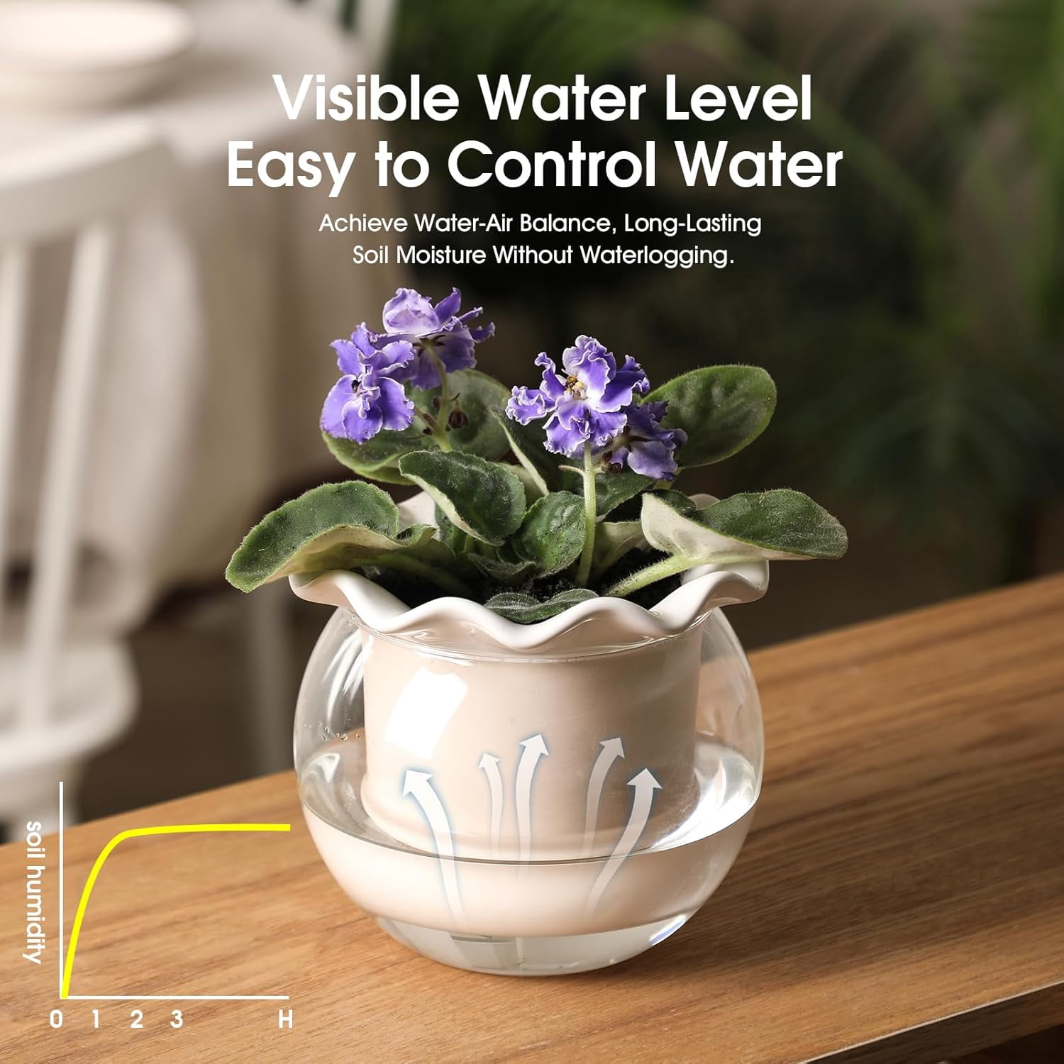 Self Watering Plant Pot, 6 Inch African Violet Pots Maintenance, Glass Self-Watering Planter for Indoor Plants - Ideal Flower Pot for Thriving Indoor Gardens