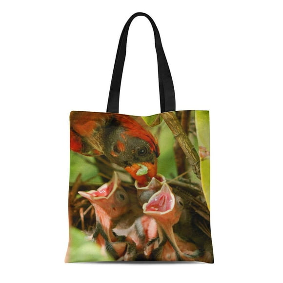 POGLIP Canvas Bag Resuable Tote Grocery Shopping Bags Male Cardinal Brings Green Worm Caterpillar to the Nest Feed Tote Bag