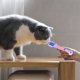 thumbnail image 5 of Cuchara Alimentador de Tiras Cuchara Alimentador de Tiras para Gato Cuchara Dispensador de Cuchara para Gato Cuchara Empujador de Comida para Gato, 5 of 5