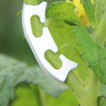 thumbnail image 3 of 100 Uds doblador de plantas planta de entrenamiento de bajo estrés ramas doblador Clips de flexión Clips de entrenador de plantas para bajo, 3 of 5