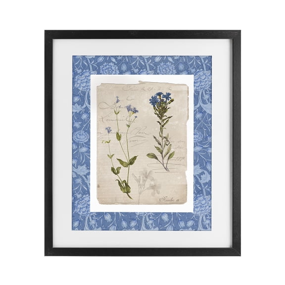 Stupell Industries Cottage Blue Vintage Botanicals Black Framed Print Under Glass, 13 x 16, by Livi Finn