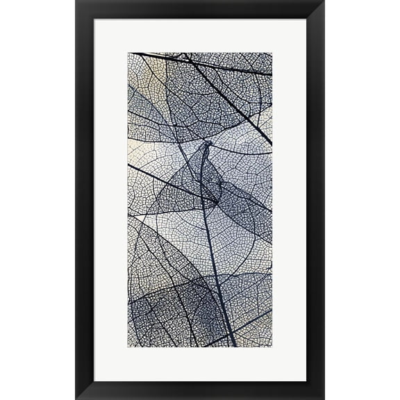 Great Art Now Transparent 3 V5 by Kimberly Allen, Framed Wall Art, 16.75W x 26.75H