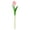Pink, variant on Artificial Tulips Faux Flower Bouquet for Wedding Centerpiece Vase Home Table (13X2In, 2Pcs) Light Green