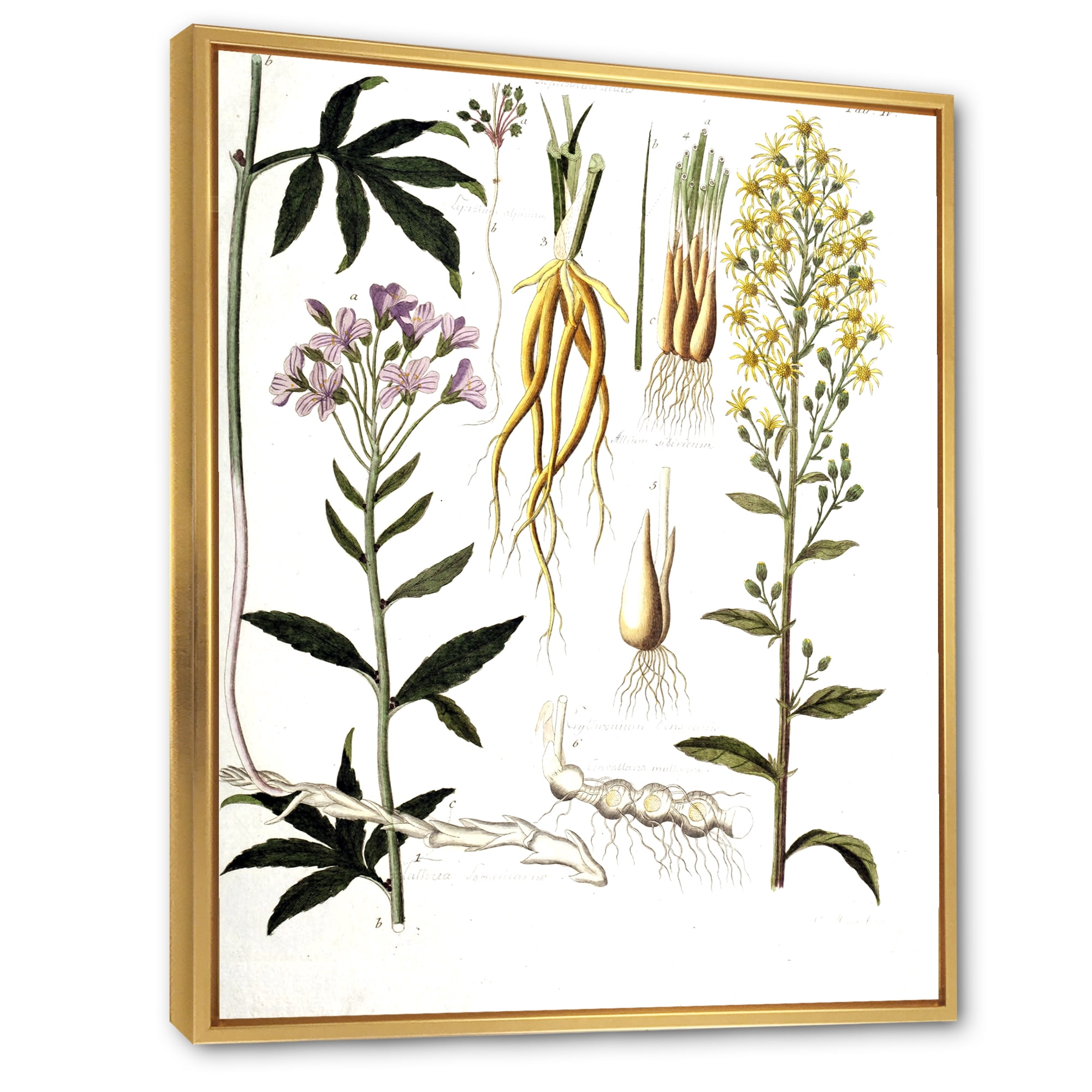 Designart 'Ancient Plant Life VIII' Farmhouse Framed Canvas Wall Art Print