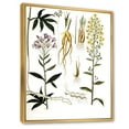 thumbnail image 3 of Designart 'Ancient Plant Life VIII' Farmhouse Framed Canvas Wall Art Print, 3 of 5