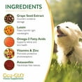 thumbnail image 5 of Ocu-GLO PB Vision Supplement for Medium & Large Dogs Easy to Administer Powder Blend with Lutein, Omega-3 Fatty Acids, Grape Seed Extract & Antioxidants to Promote Eye Health, 90ct Powder Capsules, 5 of 6