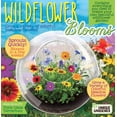 thumbnail image 2 of Unique Gardener Glass Terrarium - Wildflower Blooms, 2 of 2