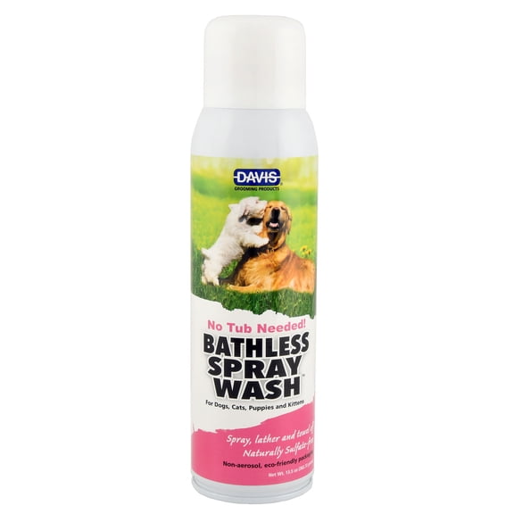 **Davis Bathless Spray Wash, 13.5 oz