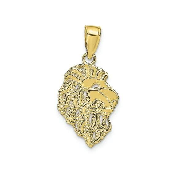 FJC Finejewelers 10k Yellow Gold Lion Head Charm