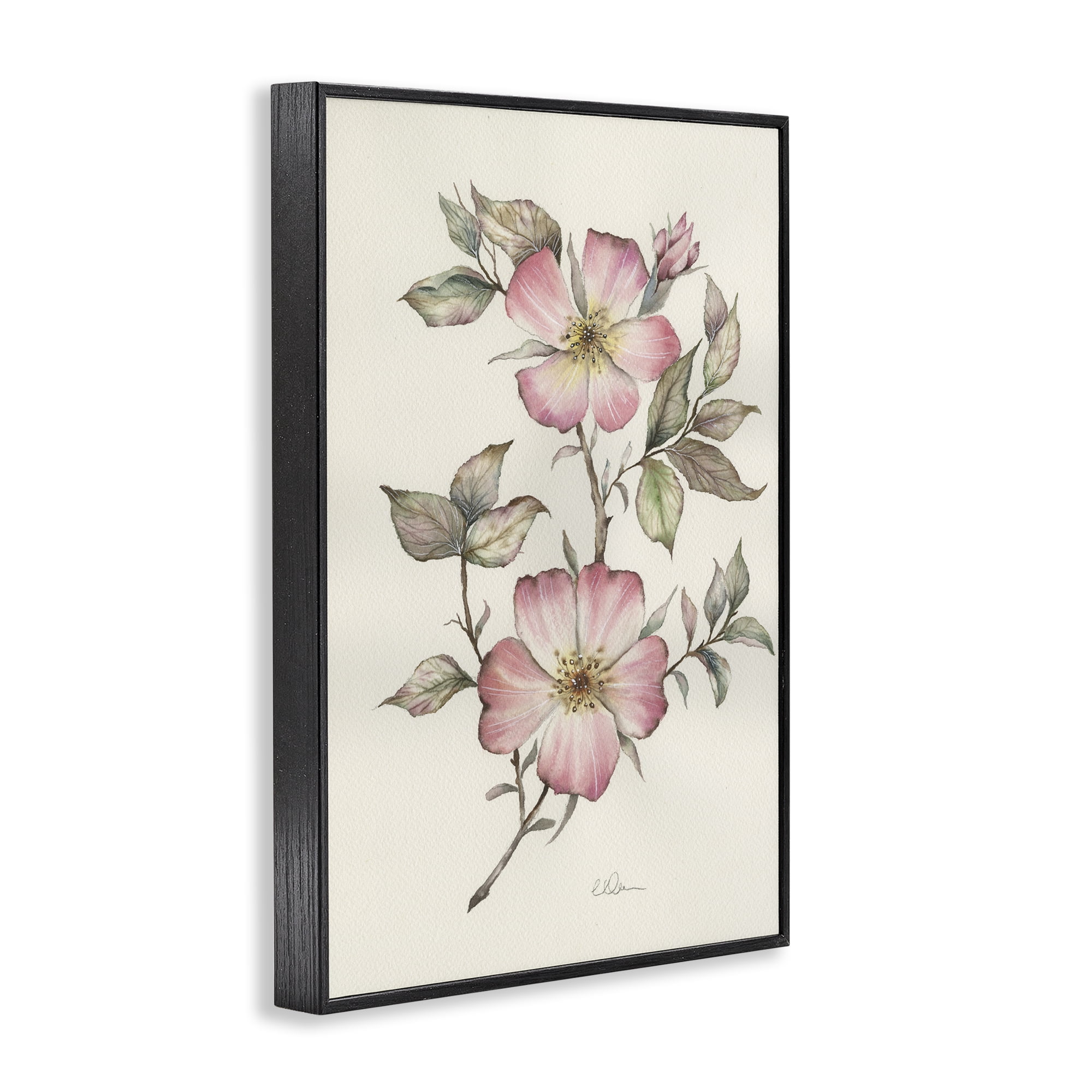 Stupell Industries Two Flowers Natural Study Black Framed Giclee Art, design by Cady Driver