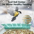 thumbnail image 4 of BirdKiss Multifunction Bird Feeder with Suet Ball, 1.76 oz Capacity, Accessories, 4 of 8