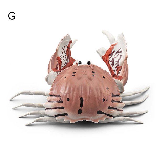 Visland Simulation Animal Model Vivid Intelligence Development Solid Aquarium Miniature Crab Cognition Education Toy for Home