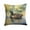 American Black Duck 3178, variant on Wood Duck Throw Pillow 18 in x 18 in