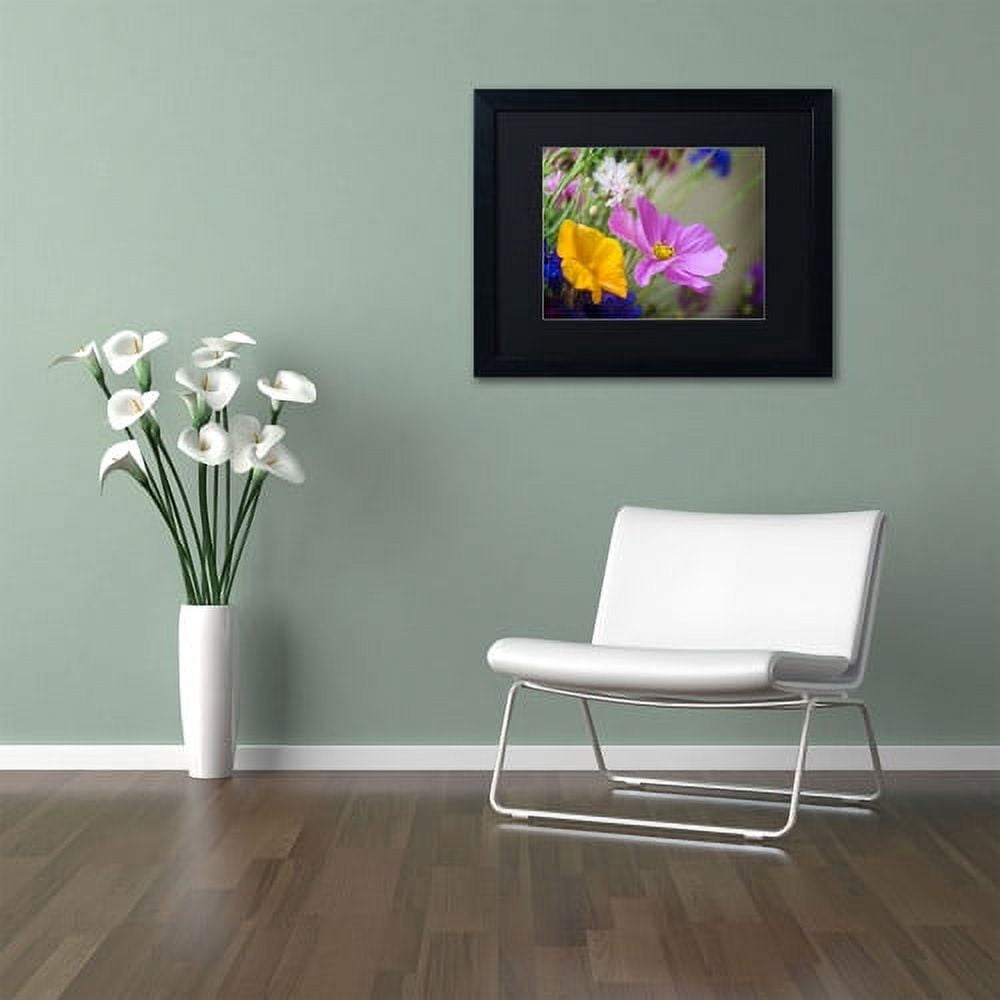 Trademark Fine Art "Cosmos of the Fields" Canvas Art by Philippe Sainte-Laudy, Black Matte, Black Frame
