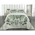 thumbnail image 2 of Ambesonne Eucalyptus Leaves Quilted Coverlet 3 Pcs, Weeping Wreath, Queen Size, Ivory and Laurel Green, 2 of 4