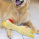 thumbnail image 3 of EeaseMX Juguetes de látex para perros con forma de pollo chillón, con sonido de dibujos animados, para masticar y morder, color amarillo, 3 of 7