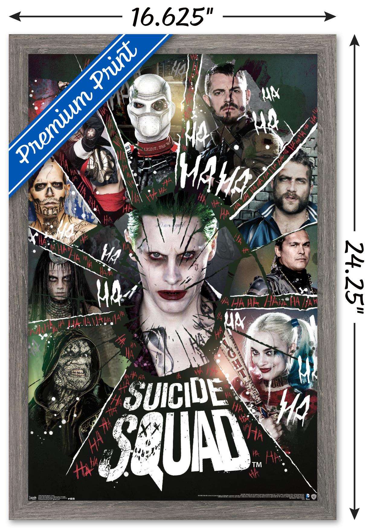 DC Comics Movie - Suicide Squad - Circle Wall Poster, 14.725" x 22.375", Framed