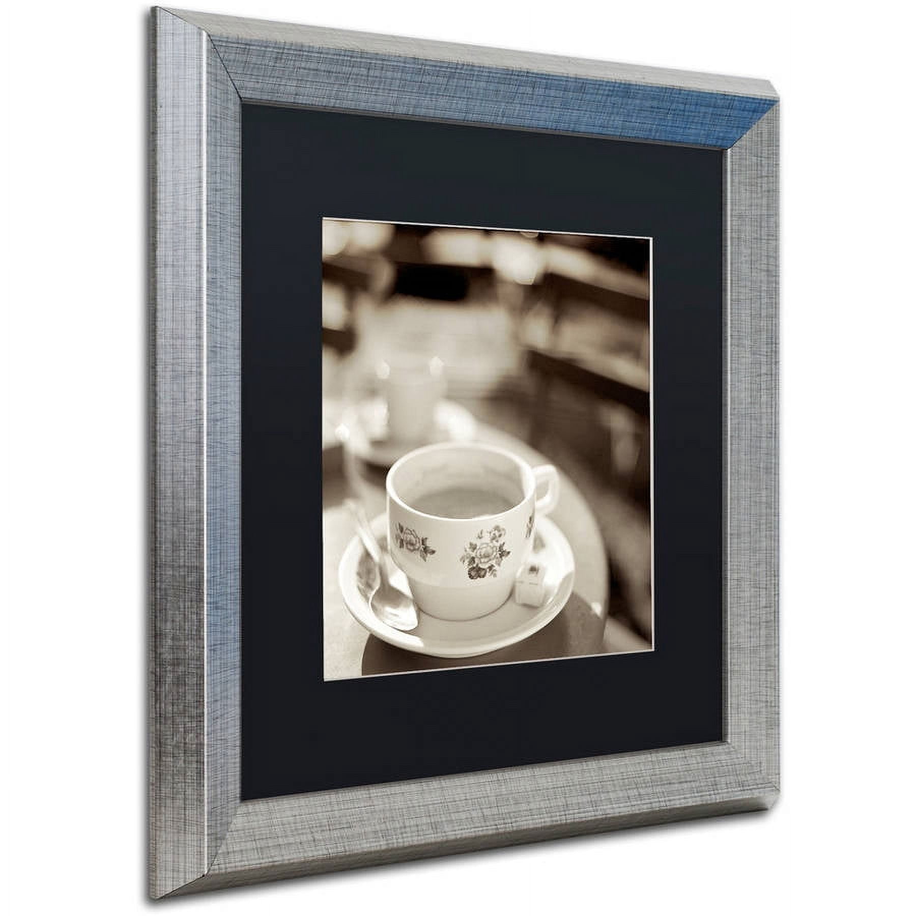 Trademark Fine Art "Jardin du Luxembourg II" Canvas Art by Alan Blaustein, Black Matte, Silver Frame