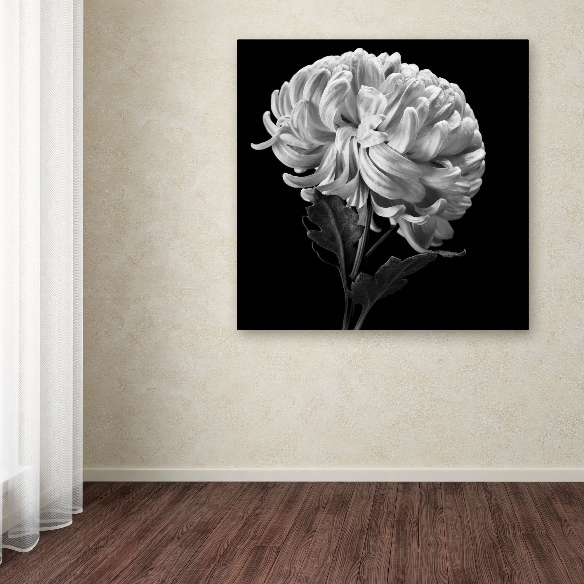 Trademark Fine Art "Mum II" Canvas Art by Michael Harrison