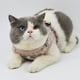thumbnail image 3 of Arnés de pecho para mascotas, tipo chaleco, correa para perro, arnés reflectante para gato, pecho, espalda, suministros para mascotas, amarillo (XL) Sailing  Electrónica, 3 of 5