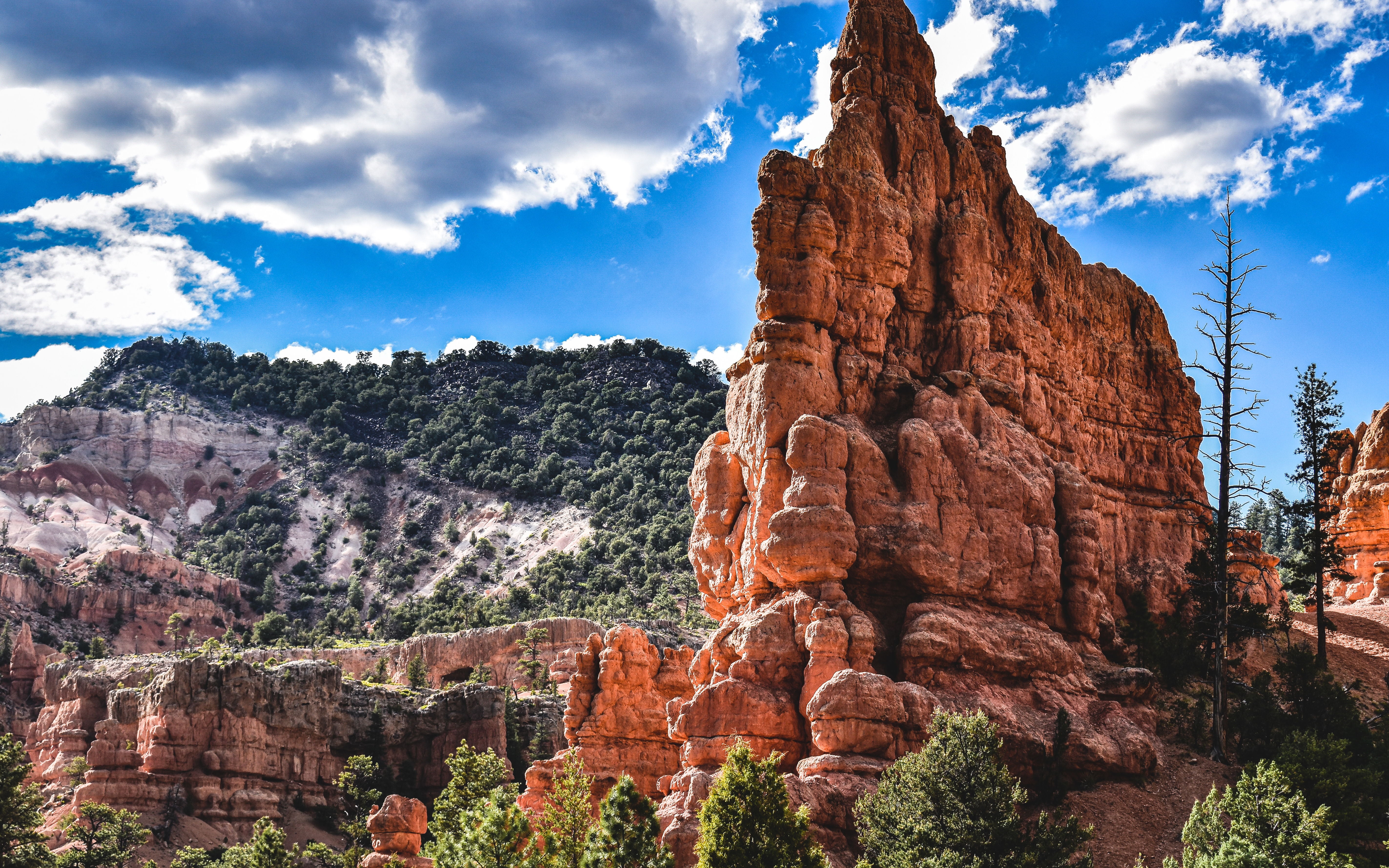 62 National Parks Wilderness Wonder 1000 Pieces Puzzles for Adults Jigsaw Puzzle Artwork Style Gifts DIY Mural Painting Entertainment Intellective Educational Toy Ideas for Relaxation Meditation Hobby